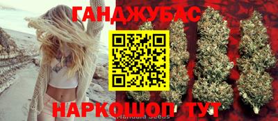 гашик Бердск