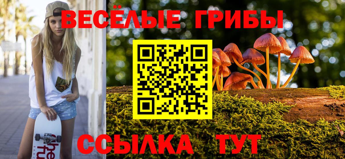 Губкин  Псилоцибиновые грибы Psilocybe  Вход с VPN 