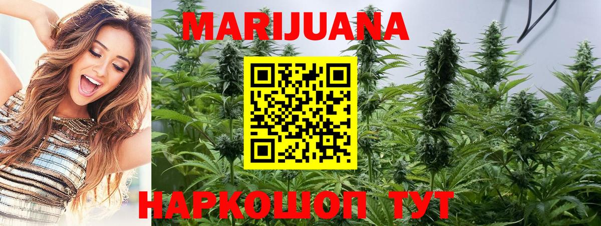 Губкин  Бошки Шишки Bruce Banner  Конопля Bruce Banner  Вход с VPN  Бошки Шишки планчик 